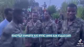 በፋኖ እንክብካቤ ስር የሚገኙት የኦሮሞተወላጆች ጨፈሩ [upl. by Luapnaes]