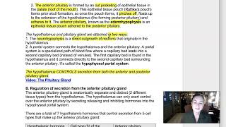 Week 4 Lecture 2 Hypothalamus and Pituitary [upl. by Lovash930]