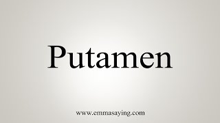 How To Say Putamen [upl. by Enilecram]