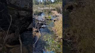 Bungendore River New South Wales  Winnier14Vlogs [upl. by Narra458]