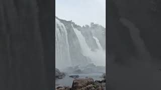 Natures shower therapy at its finest💚 athirappillywaterfalls vazhachal waterfall kerala [upl. by Aenej]