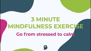 3 MINUTE MINDFULNESS Exercise  2022 Stress and Anxiety Release [upl. by Siouxie317]