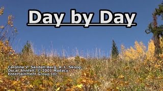 Day by Day  Lyrics [upl. by Ehrsam]