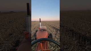 Disking corn stalks with the wd45 allis [upl. by Enimaj889]