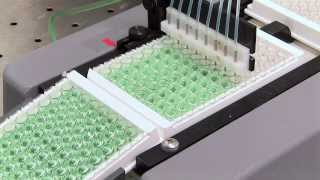 300 DMC Digital MultiChannel Filling System [upl. by Weinert]