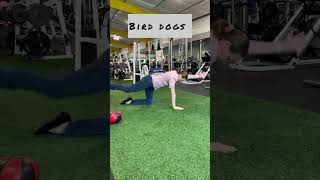 4 Stability Exercises for Low Back Pain [upl. by Trevor765]