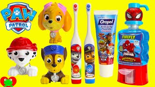 Paw Patrol Brush Teeth Surprises Shopkins Season 6 [upl. by Adnilak]