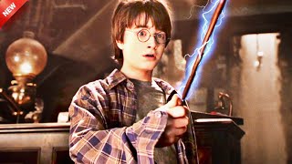 Harry Potter finds his Magic Wand that gives him a Sense of Power In Hindi [upl. by Enoch]