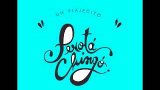 Perota Chingo  Cancion para el viento [upl. by Urian926]