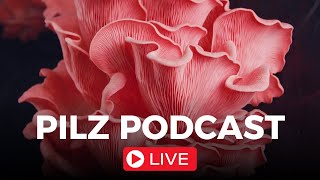 Pilz Podcast Live 76 mit derpilzfluesterer [upl. by Annatnom]