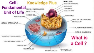 CellFundamental Unit of Life I What is a Cell I Cell Structure and its Function I Cell Membrane [upl. by Jehias]