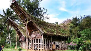 Indonesias Incredible Ancestral Homes  Show Me Where You Live Compilation [upl. by Arymahs691]