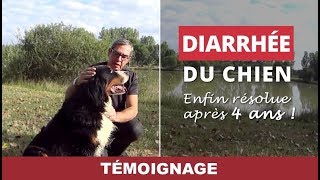 Diarrhée chien pendant 4 ans  résolue par les Croquettes Joyeuses Gambades [upl. by Nnad945]