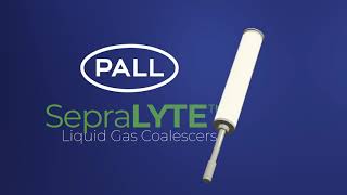 Installing a Pall SepraLYTE Liquid Gas Coalescer [upl. by Louls516]