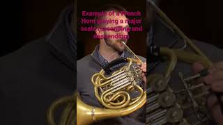 Example of French Horn playing a major scale [upl. by Phionna]