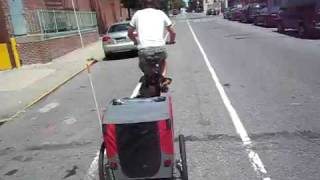 Original DoggyRide Trailer  CycloCampingcom [upl. by Fuld]