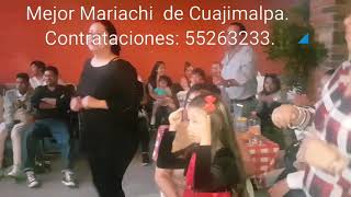 El mono de alambre  Mariachi contra mi abuelita que no se raja jejeje  Contrataciones 55263233 [upl. by Gillman]