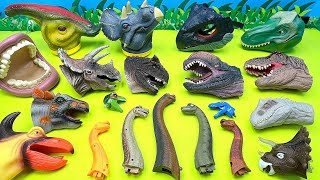 30 Dinosaur Heads With Jurassic World  Tyrannosaurus Rex Triceratops Pteranodon [upl. by Jan42]