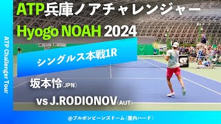 超速報【兵庫ノアCH20241R】JRODIONOVAUT vs 坂本怜JPN 2024 兵庫ノアチャレンジャー シングルス1回戦 [upl. by Ellesirg]