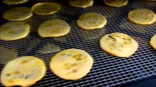 Dehydrated Squash Chips with Stephanie  EfoodDehydratorcom [upl. by Einnov]