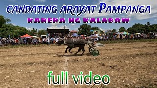 candating arayat karera ng kalabaw full video [upl. by Reagan]