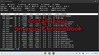 Install Linux on your Chromebook [upl. by Giverin]