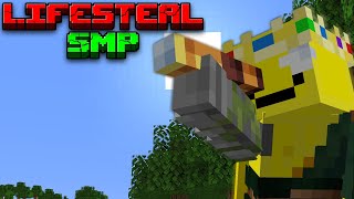 Investigating On The Lifesteal SMP [upl. by Lundberg]