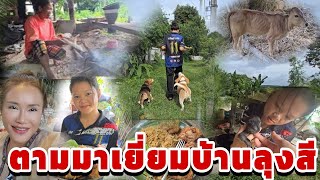 ส้มตำไปสู่บ้านลุงสึ‼️คำแพงน่ารัก salinaหนูนา salinadogfamily บีเกิ้ล หนูนาพากิน [upl. by Yelik555]