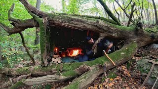 7 Days Solo Survival Camping In Rain Forest Building Warm Bushcraft Shelter Clay Fireplace Cooking [upl. by Fionnula]