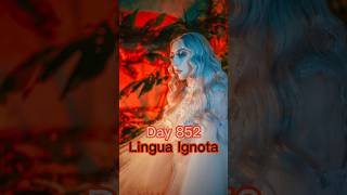 Where do you start with Lingua Ignota [upl. by Eeleak]