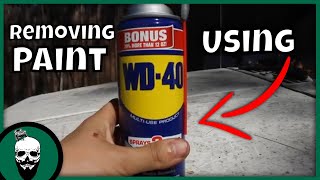 How To Remove Paint Overspray With WD 40 [upl. by Haridan318]