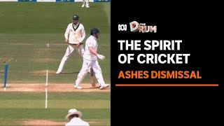 Ashes dismissal triggers debate over the spirit of cricket  The Drum [upl. by Kellie881]