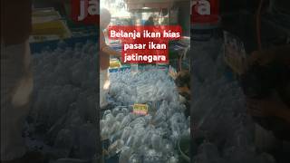 Koleksi lagi ikan hias budidayaikanhias pasarikanjatinegara shortvideo [upl. by Meador639]