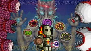 Can You Beat MASTER MODE Terraria With ONLY YOYOS [upl. by Maryann]