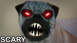 Demon Pug dog scary face [upl. by Malim]