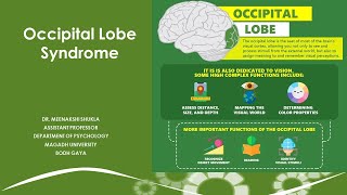 The Occipital Lobe Syndrome पश्चकपाल पालि सिंड्रोम [upl. by Meesan]