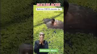 SUCURI GIGANTE NO RIO CROA ACRE sucuri [upl. by Docia]