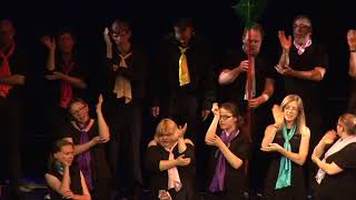 The Include Choir at Choiroke 2017 [upl. by Feeley739]