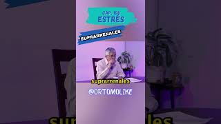 Las suprarrenales y como la vitamnaB2 las mejora estres youtubeshorts shorts salud saludable [upl. by Comptom]