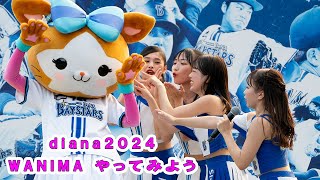 やってみよう diana 試合前ステージ 20240926 [upl. by Sherborn]