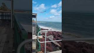 Cowes Jetty [upl. by Cherice]