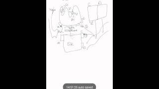 Regulation of Hcl secretion [upl. by Zelle]