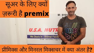 Premixes Explained  प्रीमिक्सPremix और मिनरल मिक्सचरMineral Mixture में क्या अंतर है [upl. by Fairbanks]