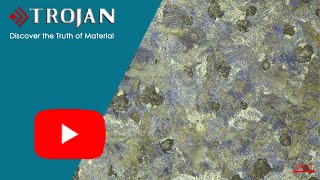 Process of metallographic sample preparation of ductile iron casting [upl. by Dnalhsa]