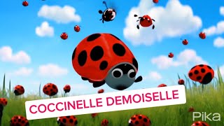 Coccinelle demoiselle chanson pour les tous petits [upl. by Hurwitz]