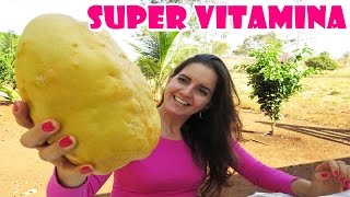 MARACUJÁ GIGANTE E A SUPER VITAMINA Fran Adorno [upl. by Litnahc]