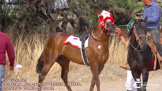 🔥Hechicera Vs Golfo🔥 Carril El Alacran🦂 QRO [upl. by Attena162]