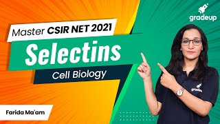 CSIR NET Master Series  Cell Biology  Selectins  Integrins  CAMs  Adhesion Molecules [upl. by Anastos161]