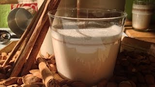 Cinnamon Almond Milk  from Kelli Roberts fasting booklet quotNew MoonShivaratriquot [upl. by Justus]