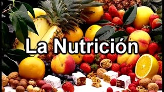 La Nutrición  Documental de Biología [upl. by Ulla]